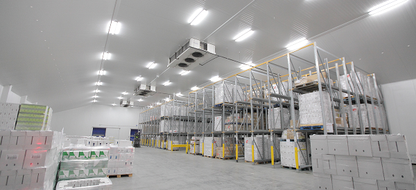 warehouse with shelves and pallets